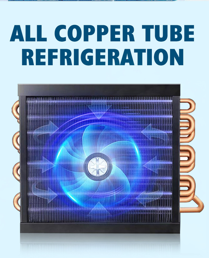 Temperatura de cristal doble del refrigerador 980L R290 de la exhibición de la puerta de la refrigeración por aire sola 1
