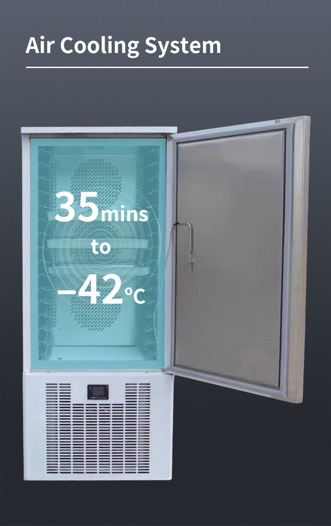 Refrigeración por aire del refrigerador del congelador de ráfaga de 10 bandejas pequeña para la congelación rápida de la máquina de refrigeración 5