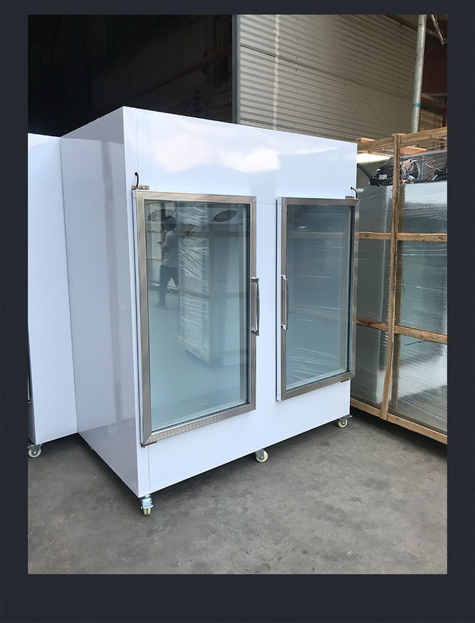 Congelador de exhibición de paletas de PVC para exhibición de hielo al aire libre de acero inoxidable R404a 7