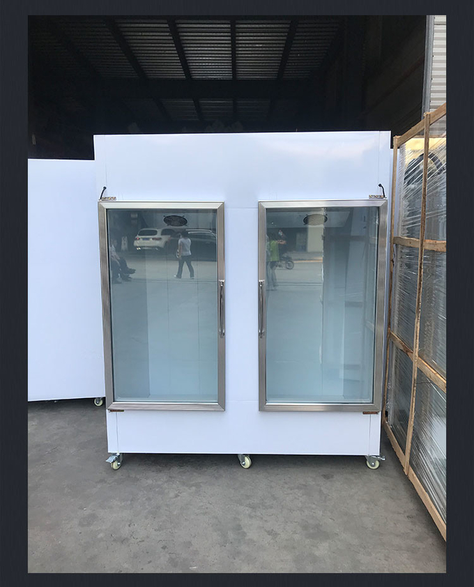 Cocina del hotel Bolsa de hielo Merchandiser Congelador Gabinete de helado comercial R404a 0